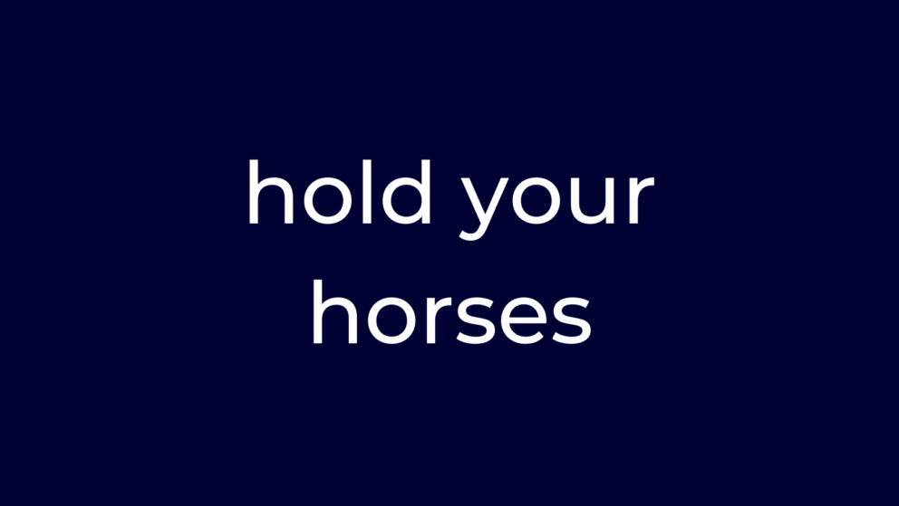 Hold your horses - anglická fráza týždňa - otago preklady